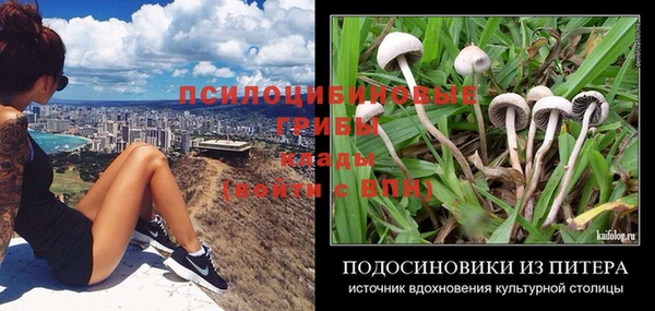 индика Алзамай