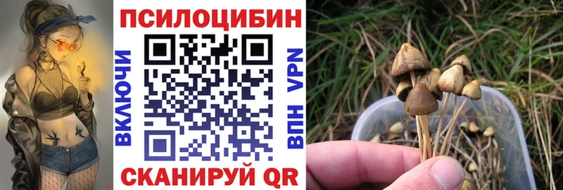 Купить закладки Урай Псилоцибиновые грибы прущие грибы